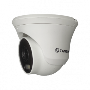 Видеокамера IP TSi-Eeco25FP