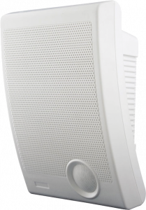 Громкоговоритель TSo-SW10a