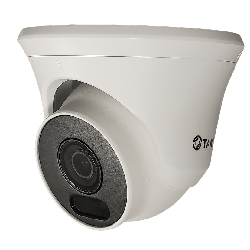 Видеокамера IP TSi-Ee25FPN